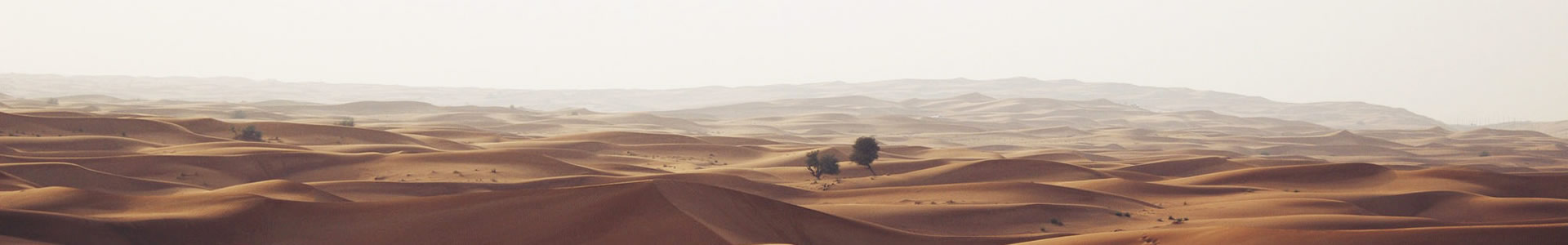 -װƹ޹˾